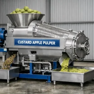 Custard apple Pulper machine