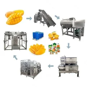 Mango pulp processing plant